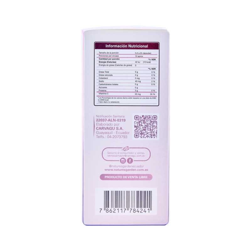 SUPLEMENTO NUTRICIONAL COLAGEINA CAPSULA FRASCO X 60 UNIDADES
