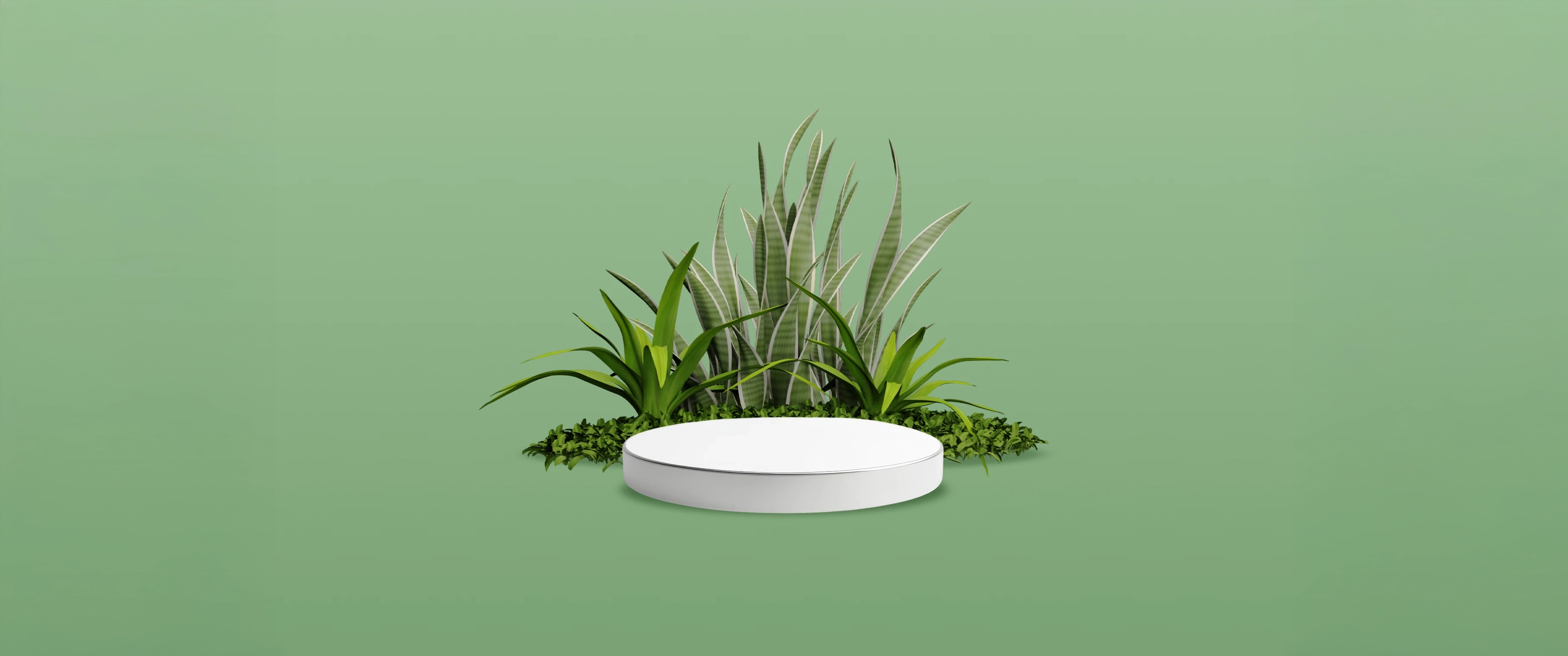 Slide background